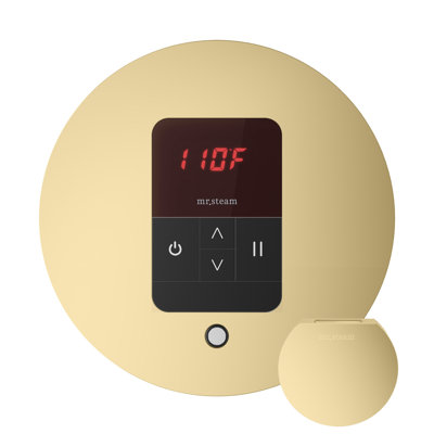 iTempo Round Steam Shower Control and Steamhead