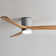 Ceiling Fans with Lights Dimmable and Remote Control Flush Mount