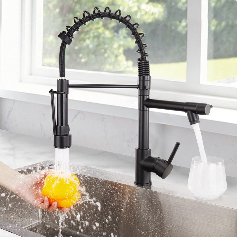 Ivy Bronx Derean Kitchen Faucet