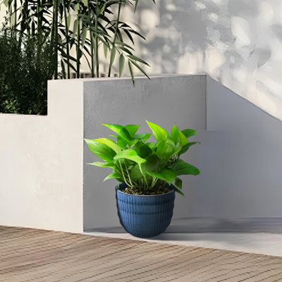 4 pots de fleurs bleu antique de haute qualité, avec drainage intégré pour un arrosage excessif, tout temps pour le patio et les rebords de fenêtre, L 14,06 po x l 11,21 po, 31,3 lb, résistance, bleu, drainage en céramique