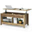 Table basse Red Barrel Studio® avec compartiment de rangement dissimulé et tablette inférieure noir-1678726391