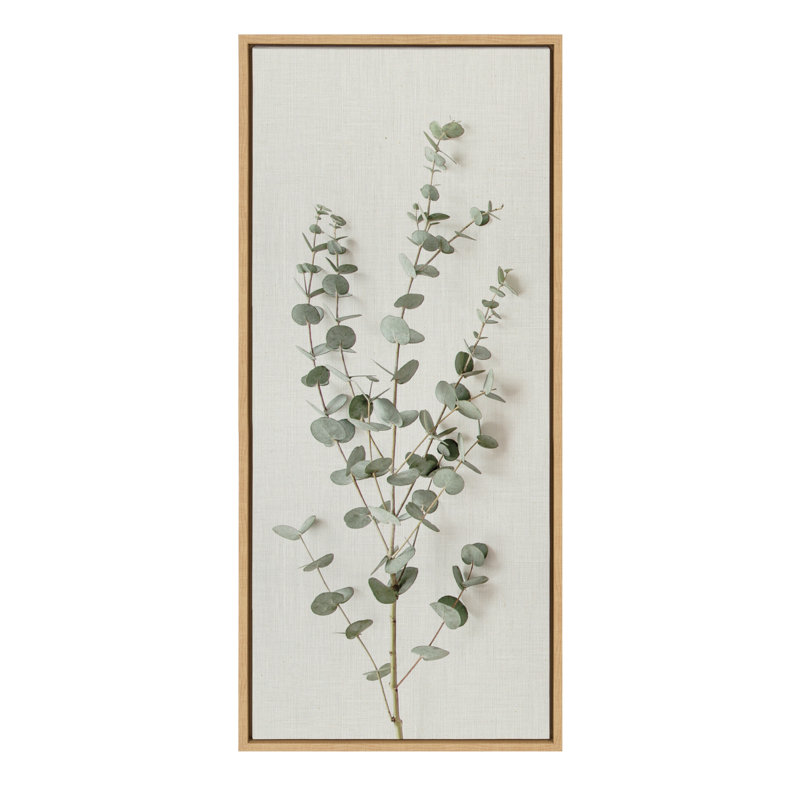 «Eucalyptus Botanical I» par The Creative Bunch Studio, reproduction d'art sur toile encadrée, 18 x 40, Naturel