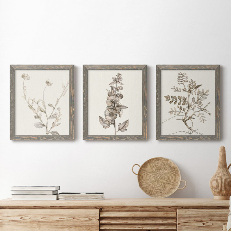 Neutral Botanical Study IV - Ensemble de 3 peintures sur toile encadrées, H 24 po x l 36 po x P 1,5 po, Gris