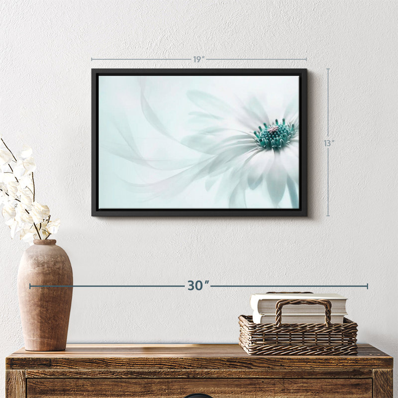 Impression sur toile translucide Cape Daisy, H 13 po x l 19 po
