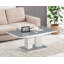 Shellman Pedestal Coffee Table
