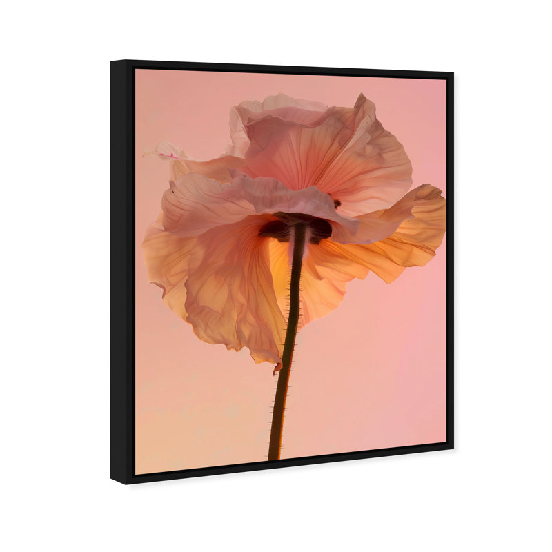 Amber Radiance IV Print by Oliver Gal, 25"H x 31"W, Black Floater Frame