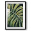 Nosturnal Monstera I-600300918-600300917