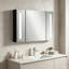 W H Medicine Cabinet Mirror