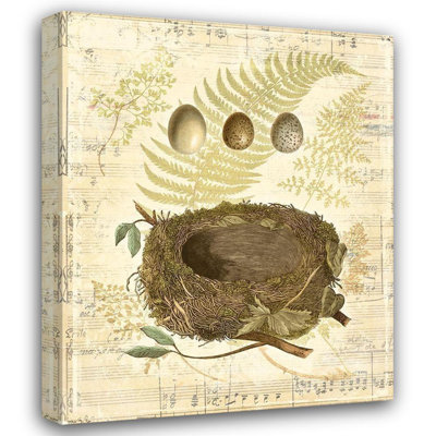 Bayou Breeze Vision Studio Gallery Wrapped Canvas Art Titled: Melodic Nest and Eggs I