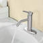 Robinet de salle de bain à poignée simple - T10, nickel brossé-118610636