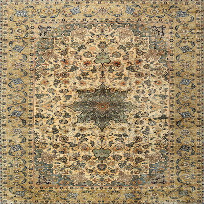 Oriental Indoor Rug