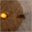 Table basse ronde en bois pour le salon, table basse rustique naturelle pour appartement, assemblage facile