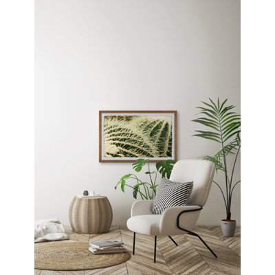 Cactus Thorns 1 Piece Single Picture Frame Painting