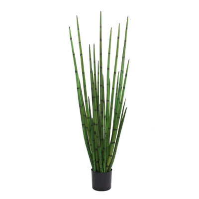 Realistic Grass in a Pot