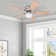 Carleny 42'' Ceiling Fan with LED Lights