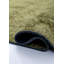 Rapture Area Rug in Green-893063808