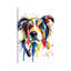 Border Collie by Weekday Best - Wrapped Canvas Painting-2130800436