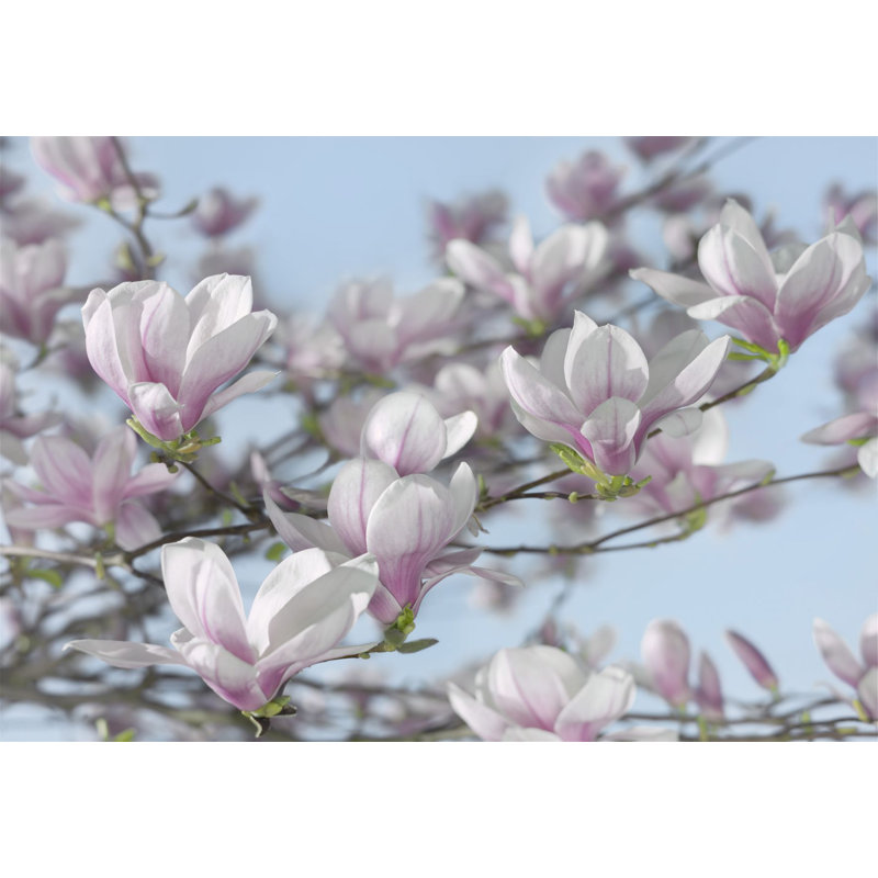Celestyn Floral Wall Mural