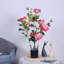 27.55cm Plant
