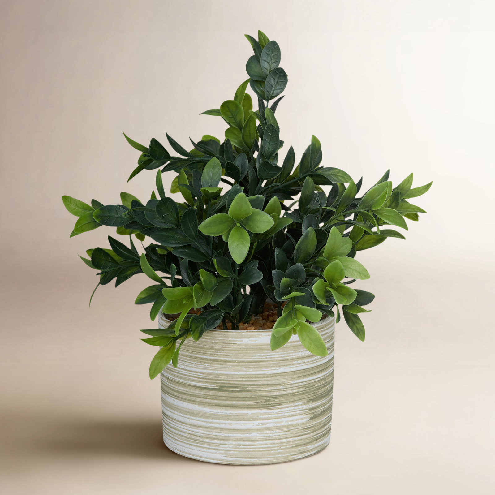 Raegan 11" Eucalyptus Plant in Pot
