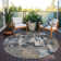  Machine Washable Indoor/Outdoor Chayden ACN1028 Rug