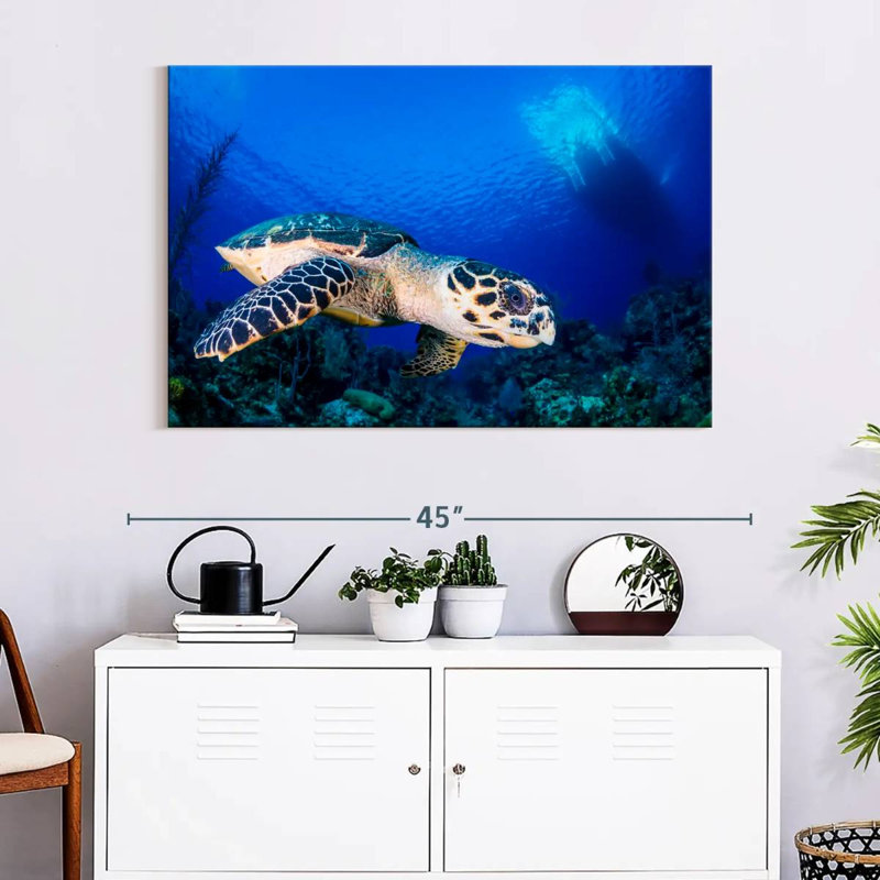 Brampt Underwater Hawksbill Turtle, 26" H x 39" W