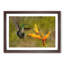 Hummingbird by a Flower - Picture Frame Painting Print-56711989-56711990