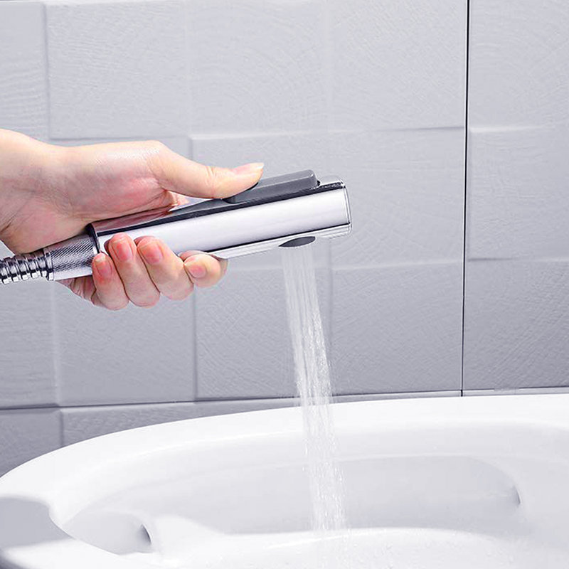 Elongated Hand Held Bidet