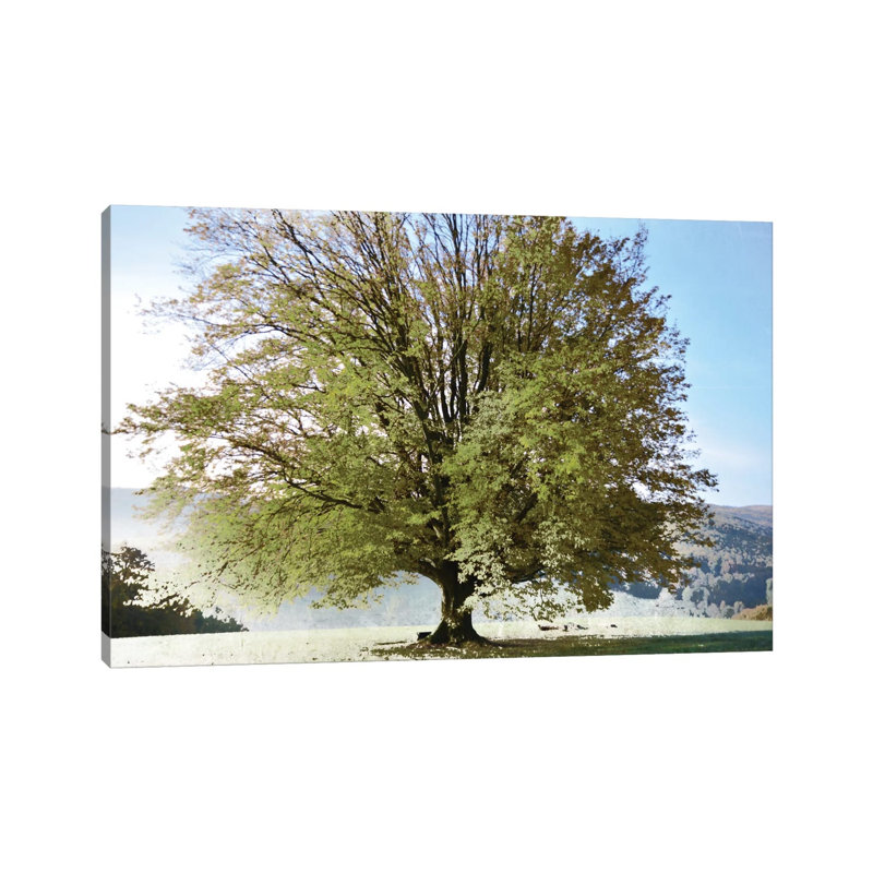 Season Of Summer by Irene Weisz - Wrapped Canvas Print, 20.32 cm H x 30.48 cm W
