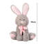 Large-Ear Plush Rabbit Stuffed Doll