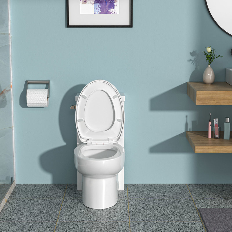 One Piece Ceramic Toilet - Skirted , Reduced Noise Flushing Modern With Soft-Close Seat High , Easy Cleaning