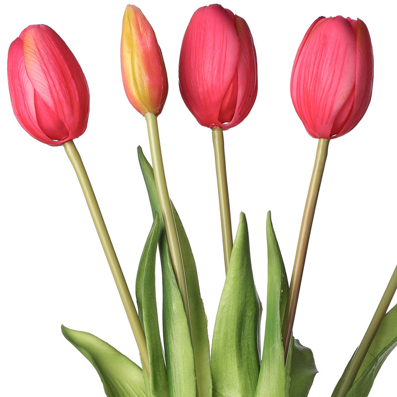 Tulip Arrangement, Hot Pink