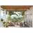 Nani 56'' Ceiling Fan-612010861