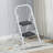 2 - Step Lightweight Folding Step Ladder-29865868