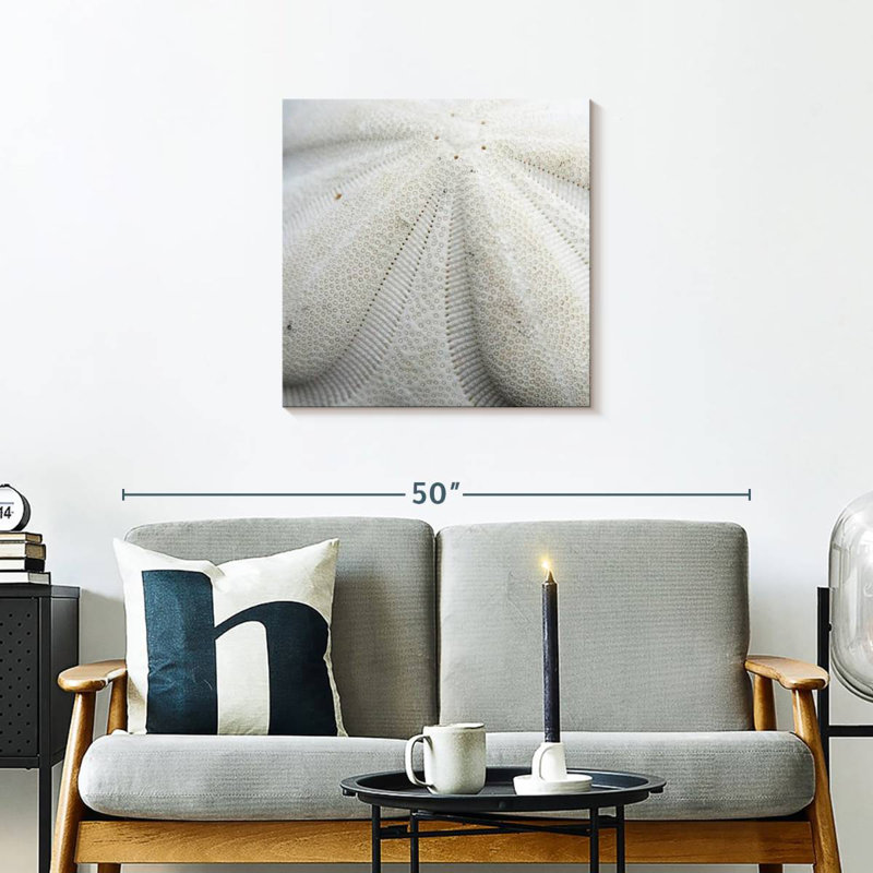 Crowle Textured Sand Dollar, 24" H x 24" W