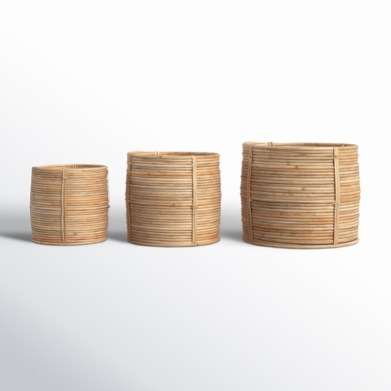 AllModern Kamal Rattan Basket
