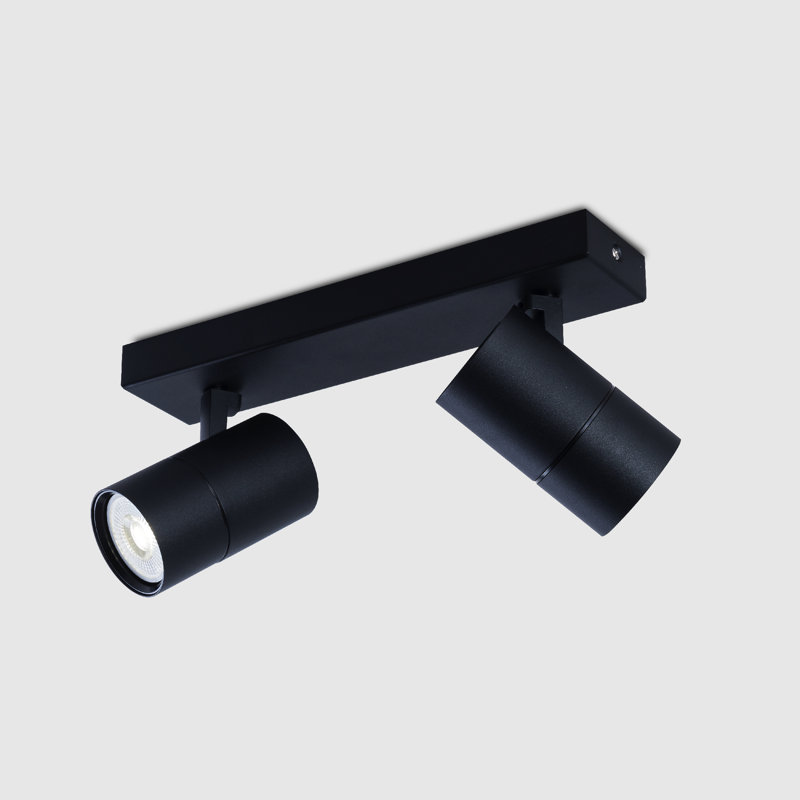Avonleigh Spotlight, Black