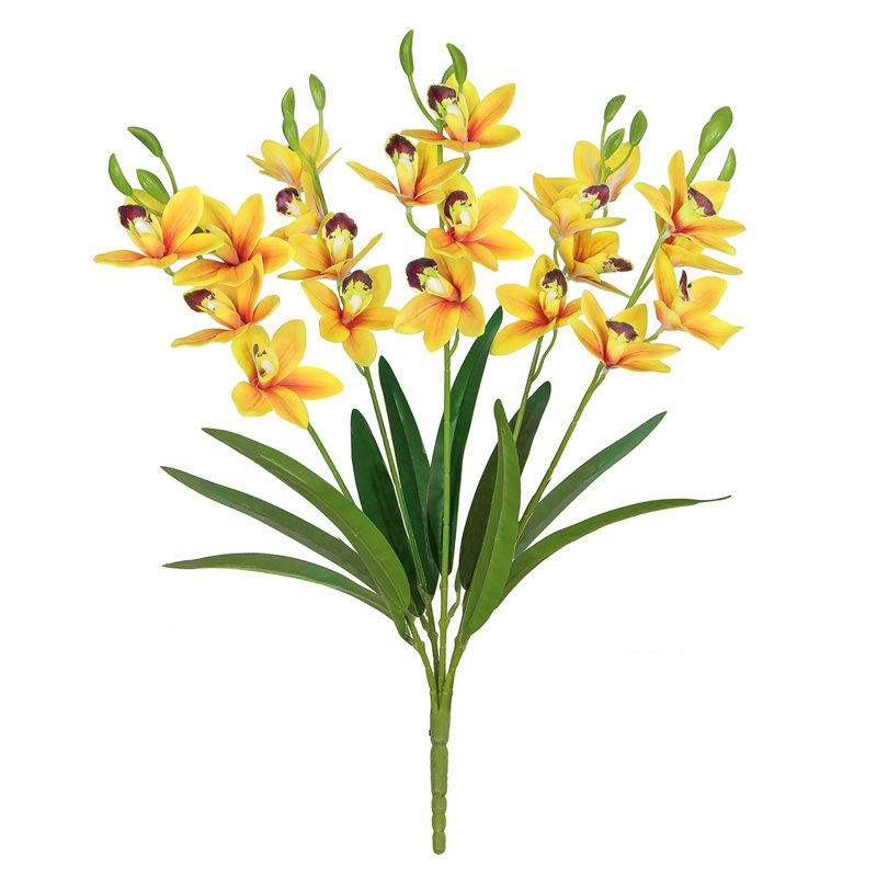Cymbidium Orchid Stem, Yellow