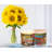 Soy Candle Amazing Grace 13 Oz