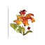 Hibiscus par Cayena Blanca - reproduction d'art-55207715-55207716-55207724