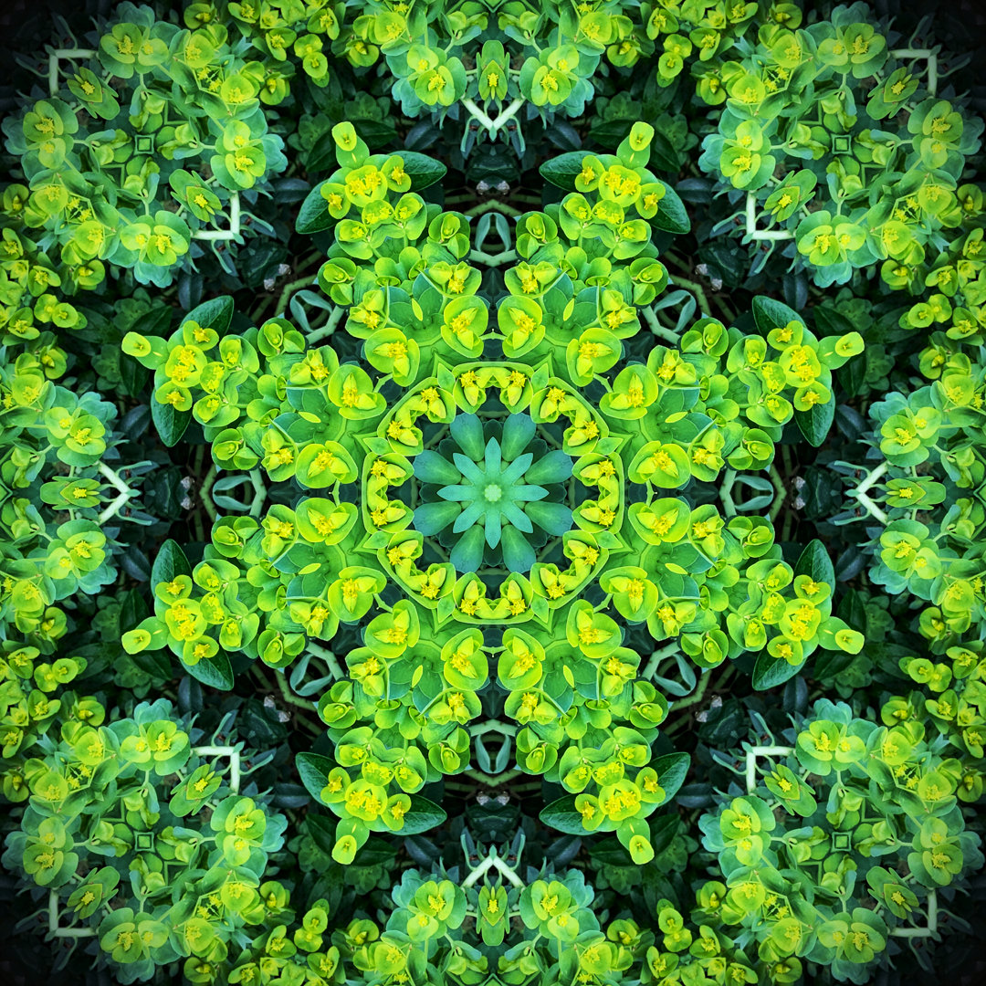 Kaleidoskop Blumenmuster von Brytta - Kunstdrucke auf Leinwand - Wrapped Canvas