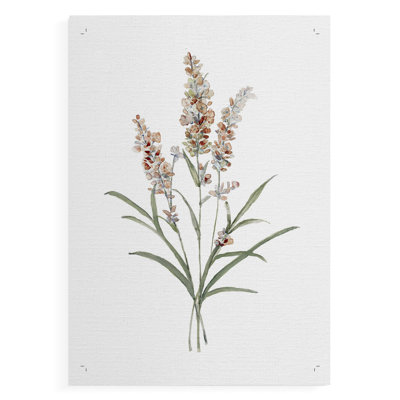 D botanique I - reproduction de toile seulement - non encadrée