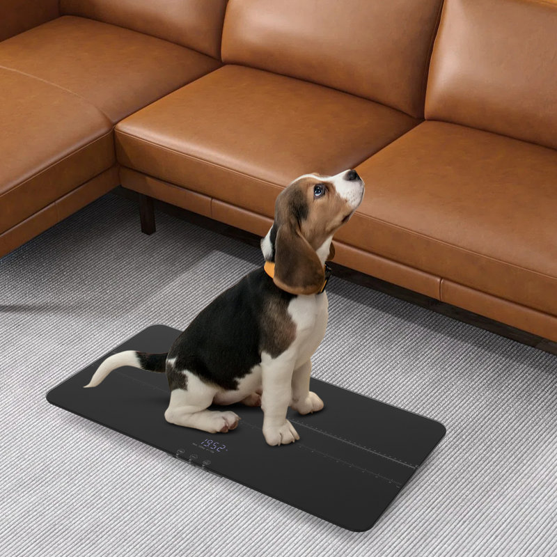 Digital Pet Scale, Black