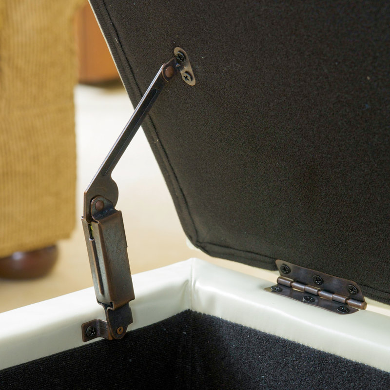 Cuir lisse avec surface, rangement pour coussins, couvertures, pieds teintés pratiques -