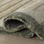 Tapis en laine Carmeon Hamilton Caly-120674172-126337915