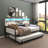 Twin Daybed with Trundle, Storage Shelves, Study Desk, and LED Charging Station for Space-Saving Bedroom Solutions.-1912443469
