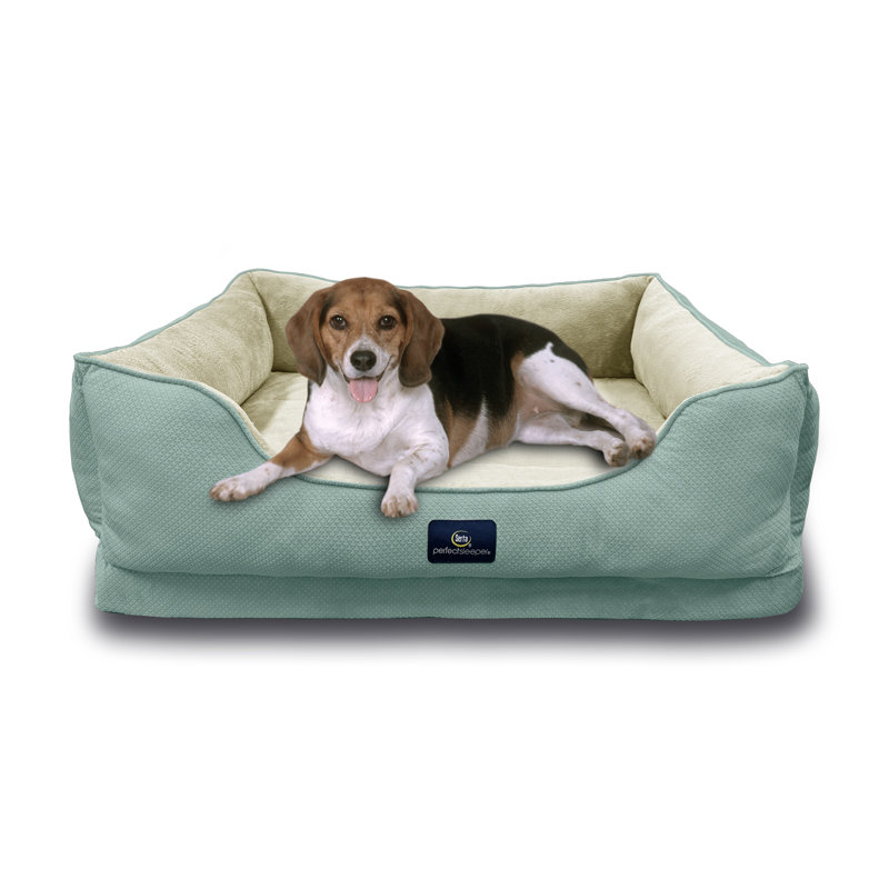 Lit pour chien Serta Ortho Cuddler, Bleu, H 10 po x l 34 po x P 25 po