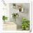 Chakera 3 Piece Wood Floating Shelf-1214839189