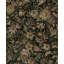 Vintage Bird Garden Peel And Stick Wallpaper