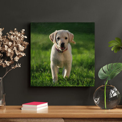 " Yellow Labrador Retriever Puppy " Painting Print